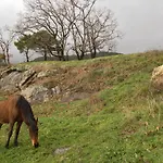 La Canela