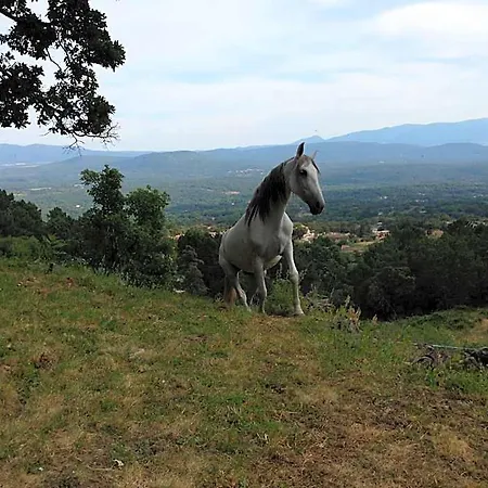 La Canela Szálloda Piedralaves