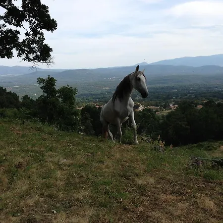 Hotel La Canela Piedralaves