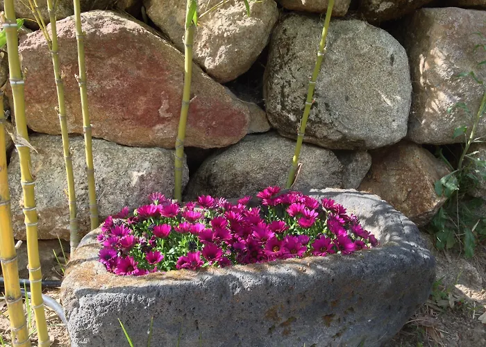 La Canela Hotel Piedralaves