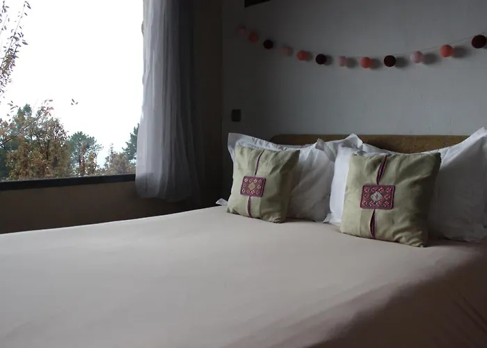 La Canela Piedralaves